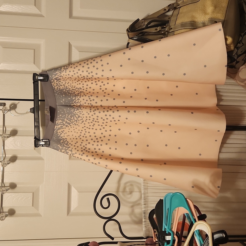 NWT Chicwish maxi skirt